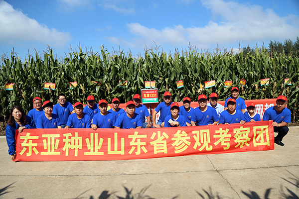 1536908810120334.jpg 3.jpg