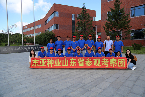 1536908827136711.jpg 4.jpg