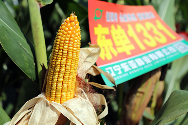 1536908852703913.jpg 6.JPG