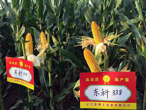 1536973221971184.jpg 2.jpg