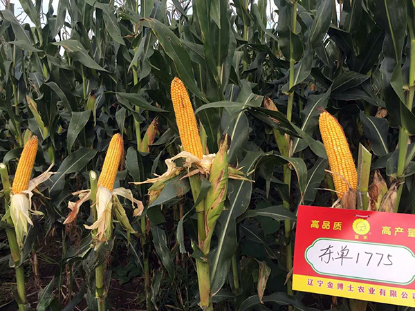 1536973371116009.jpg 3.jpg