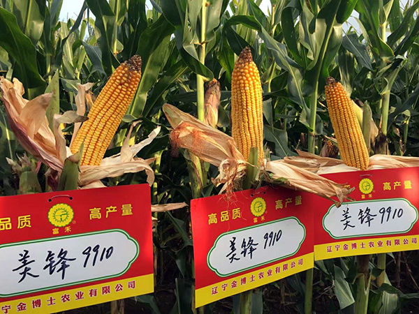 1536973437858096.jpg 4.jpg