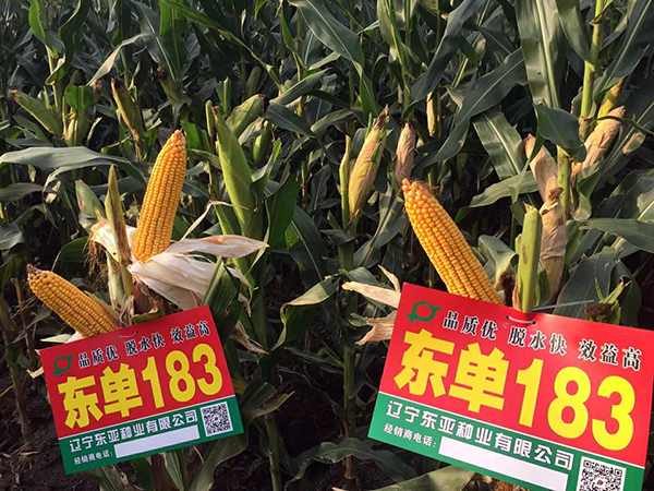 1536973740361165.jpg 6.JPG