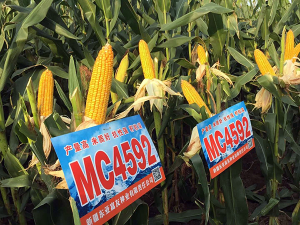 1536974131870748.jpg 9.jpg