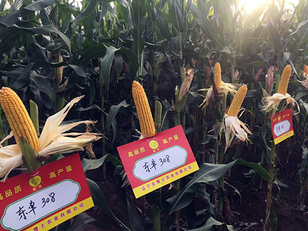 1536974181352559.jpg 10.jpg