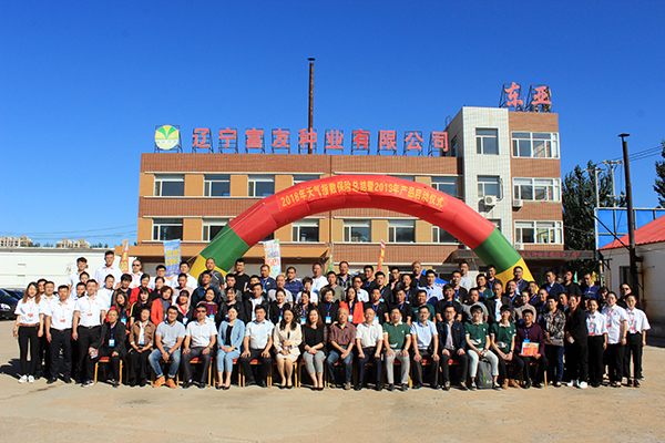 1536975660890069.jpg 6-1PZP9460M29.jpg