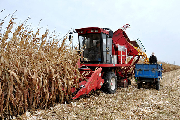 1537148830123264.jpg 1.jpg