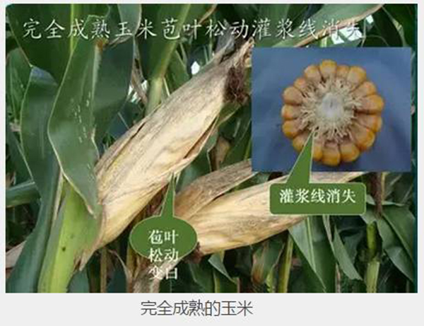 1537148849676588.jpg 2.jpg