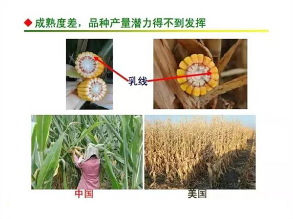 1537148857411771.jpg 3.jpg