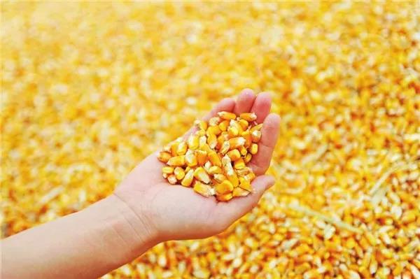 1544083493634675.jpg 微信图片_20181206160210.jpg