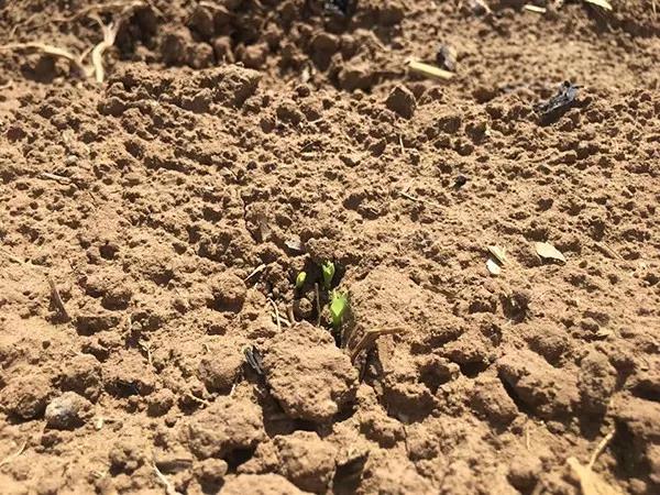 1544774820.jpg 微信图片_20181214160419.jpg