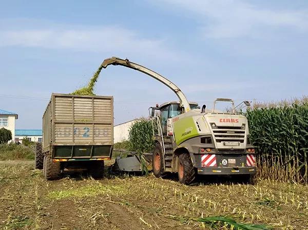 1557110542.jpg 微信图片_20190506104048.jpg