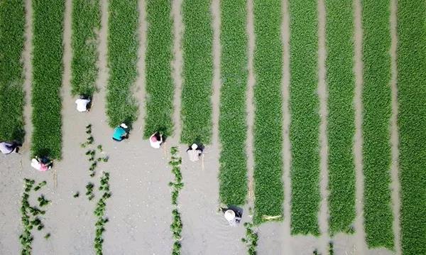 1560126940.jpg 微信图片_20190610083425.jpg