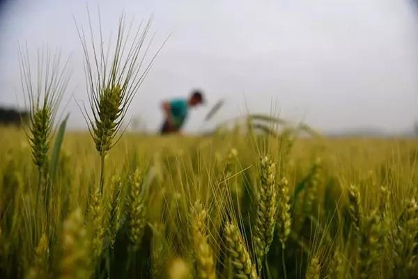 1560126962.jpg 微信图片_20190610083428.jpg