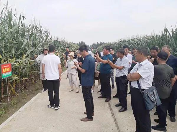 1567124637.jpg 微信图片_20190830081603.jpg