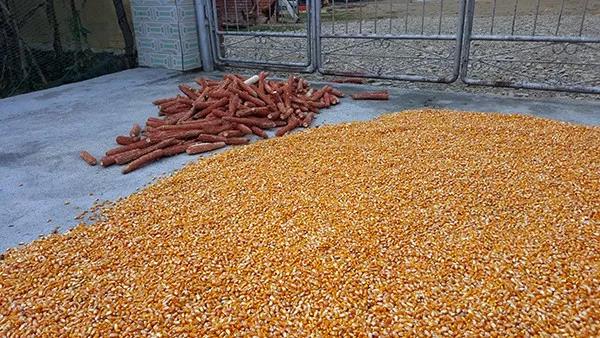 1568342981.jpg 微信图片_20190913104832.jpg