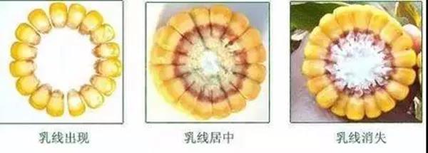 1568342986.jpg 微信图片_20190913104836.jpg