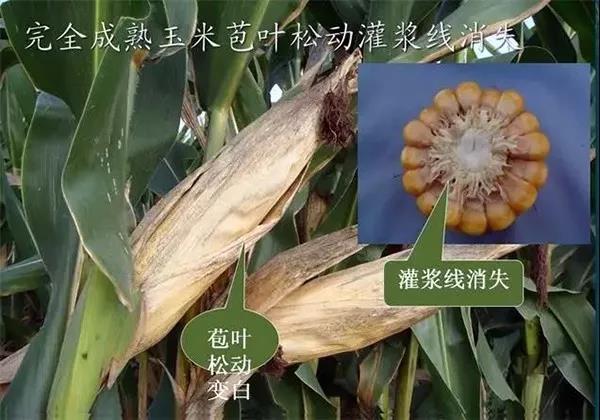 1568342991.jpg 微信图片_20190913104839.jpg