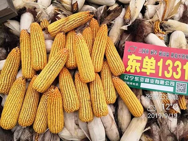 1569397115.jpg 微信图片_20190925152229.jpg