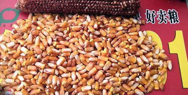 1569397122.jpg 微信图片_20190925152237.jpg