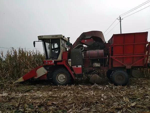 1573009897.jpg 微信图片_20191106110700.jpg