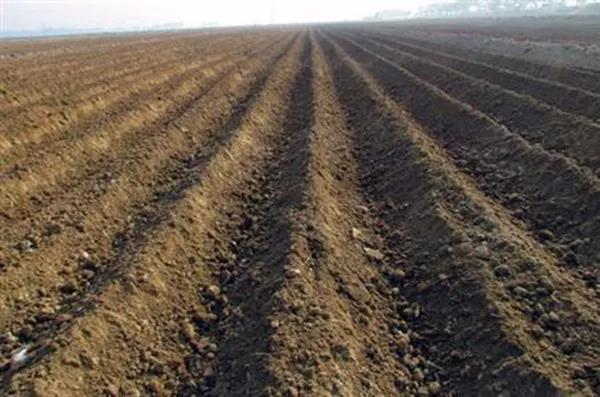 1573025892.jpg 微信图片_20191106110710.jpg