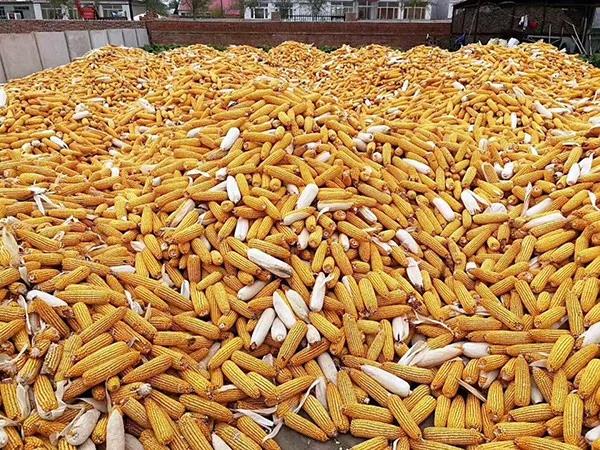 1574127200.jpg 微信图片_20191119090725.jpg