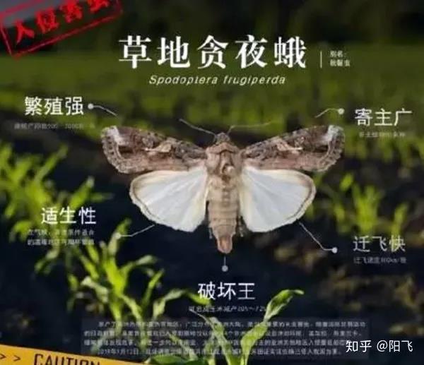 1586592532.jpg 微信图片_20200411160341.jpg