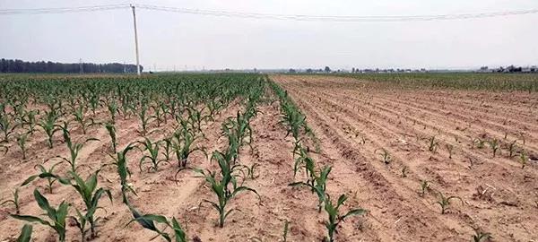 1592531120.jpg 微信图片_20200619094452.jpg