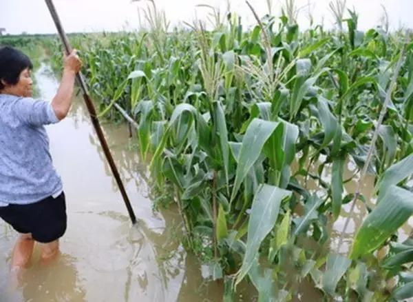 1595581941.jpg 微信图片_20200724171218.jpg