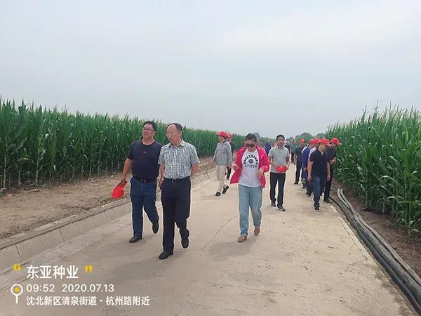 1595583032.jpg 微信图片_20200724172949.jpg