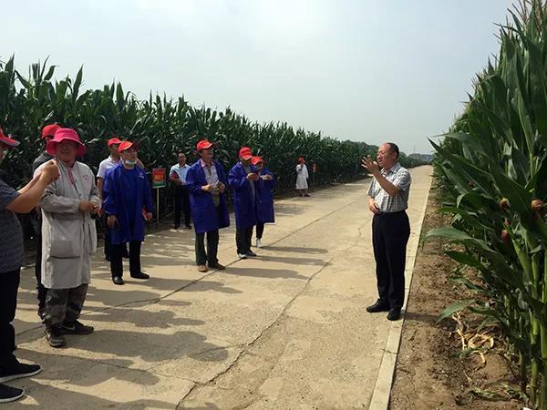 1595583041.jpg 微信图片_20200724172952.jpg