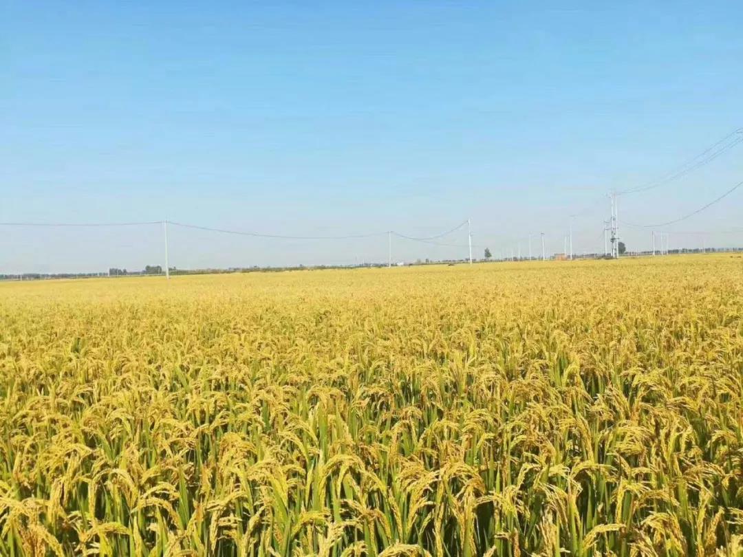 1600064397.jpg 微信图片_20200914141927.jpg