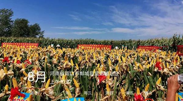 1600072039.jpg 微信图片_20200914162623.jpg