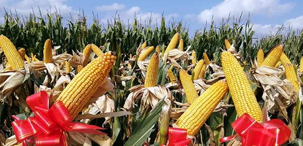 1601184304.jpg 微信图片_20200927132356.jpg