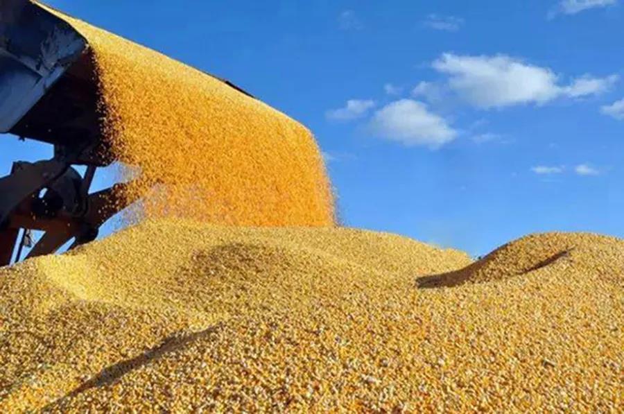 1601184327.jpg 微信图片_20200927132408.jpg