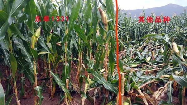 1616302977.jpg 微信图片_20210321130141.jpg