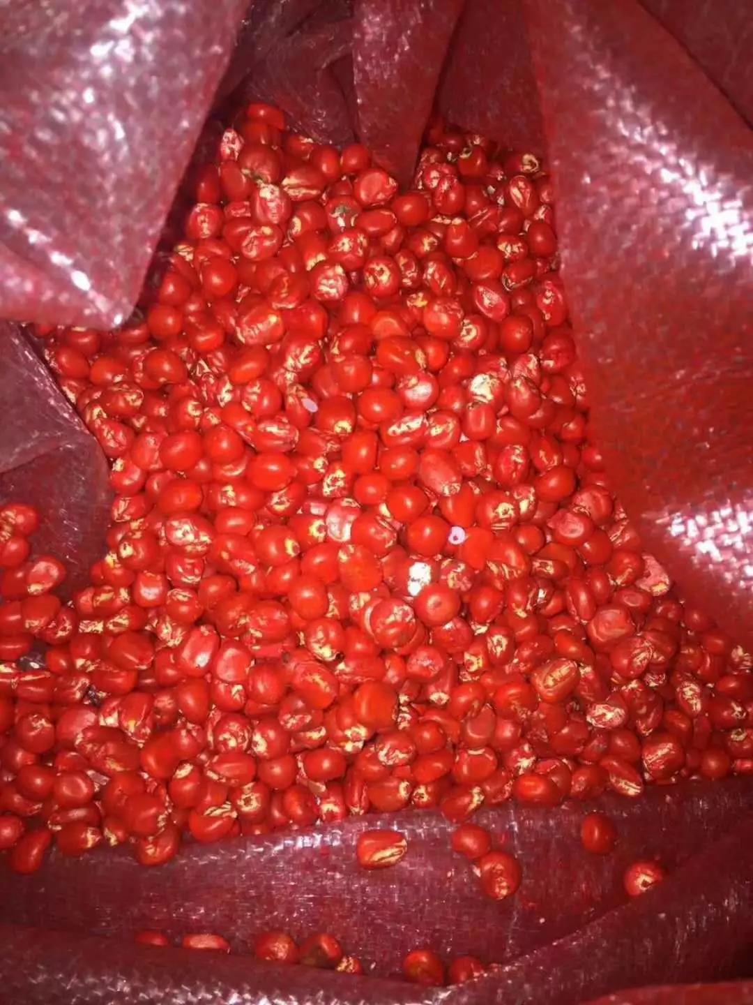 1617674759.jpg 1617674759.jpg