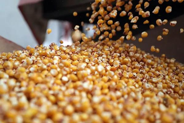 1625041595.jpg 微信图片_20210630162406.jpg