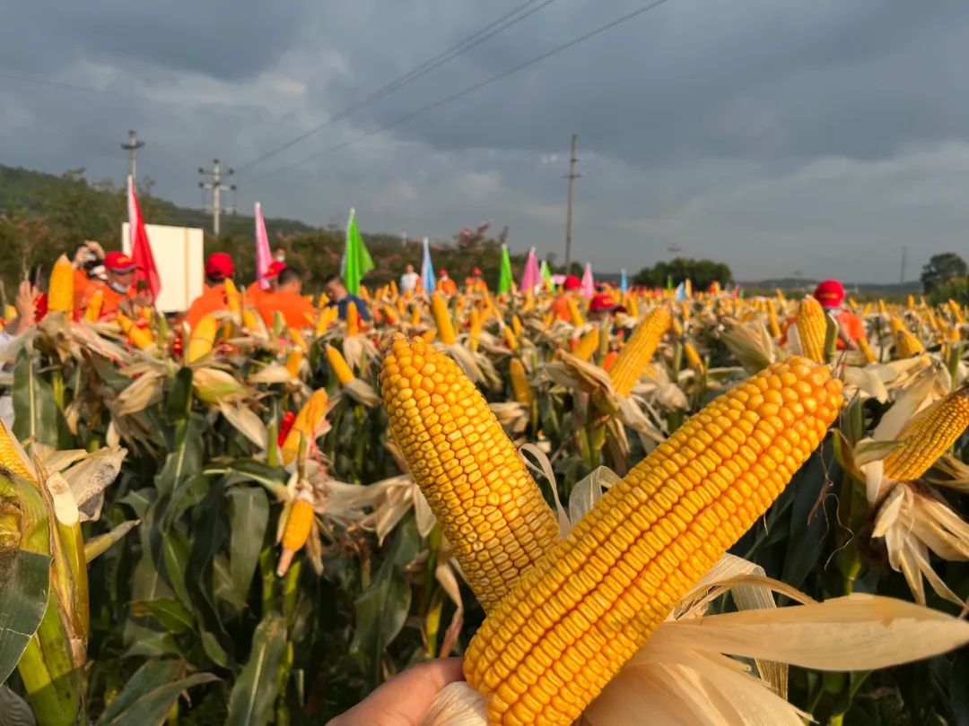 1658884923.jpg 1658884923.jpg