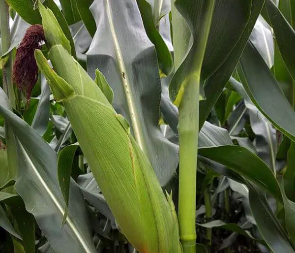 1662950220.jpg 640.jpg