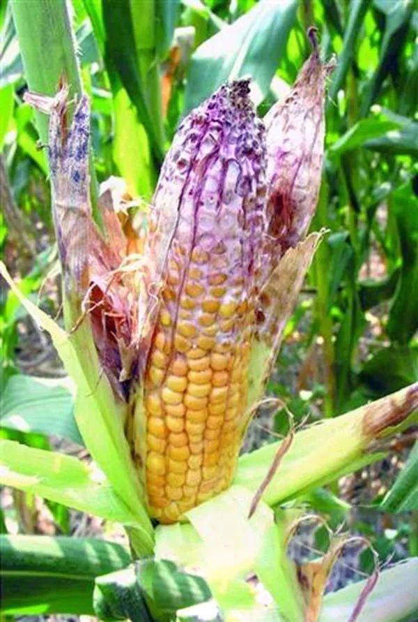 1666319511.jpg 微信图片_20221021103037.jpg