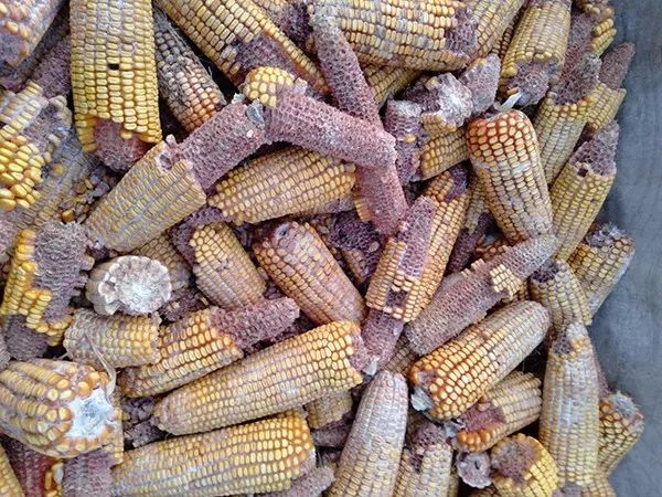 1666319517.jpg 微信图片_20221021103040.jpg