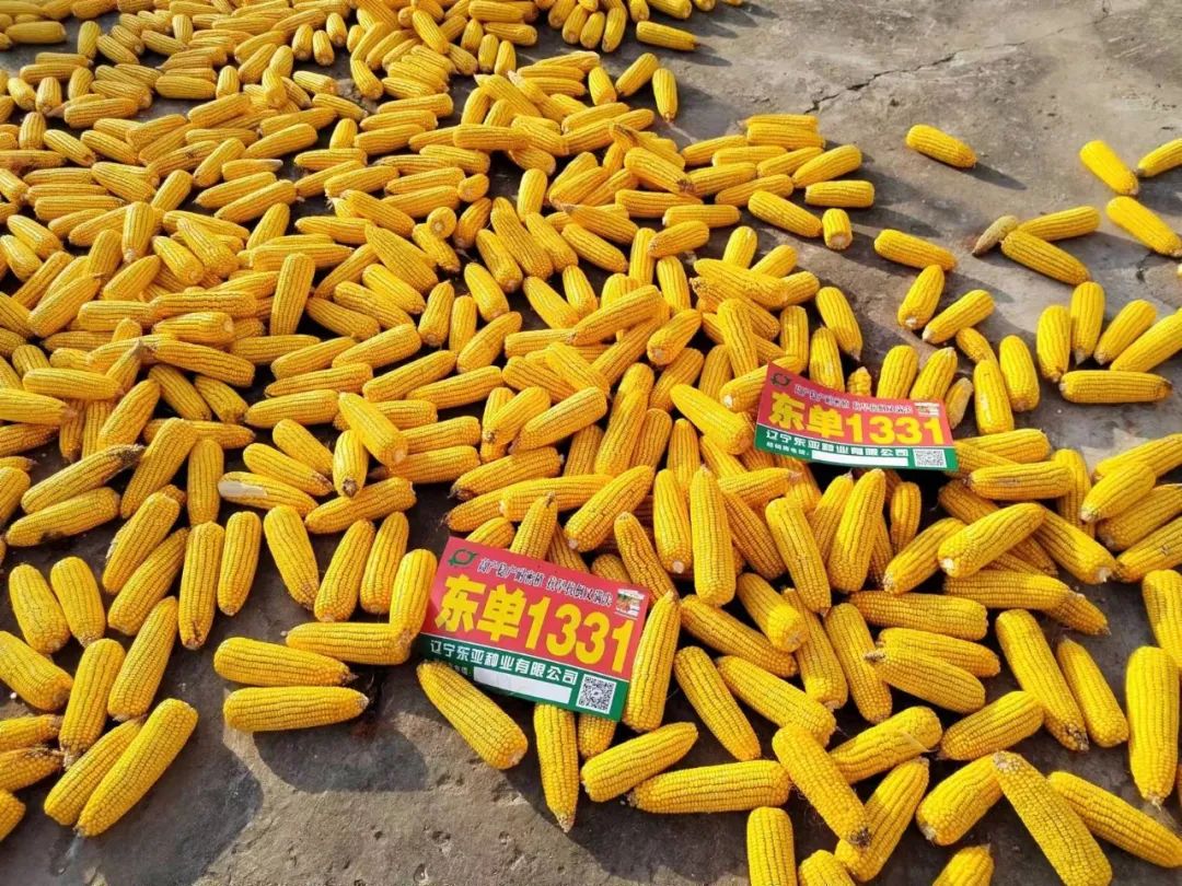 1668497696.jpg 1668497696.jpg