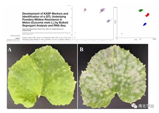 1678351384.jpg image008.jpg