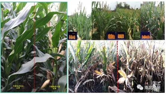 1678351412.jpg image012.jpg