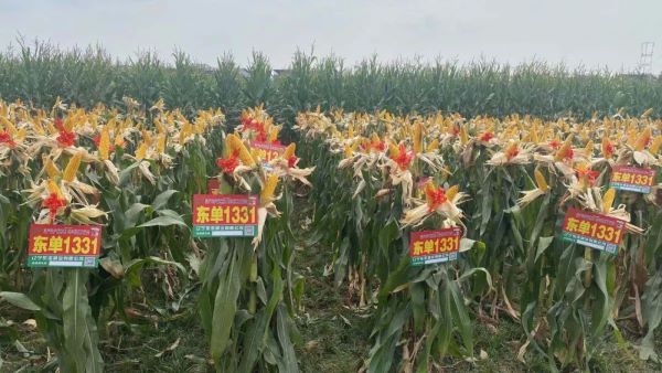 1678932830.jpg 4-3.jpg